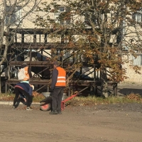 Санитарный день